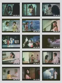 嗮女